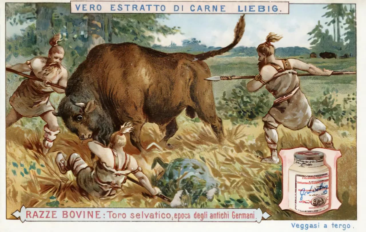 Tout savoir sur les soupes Liebig : variétés, ingrédients et achats